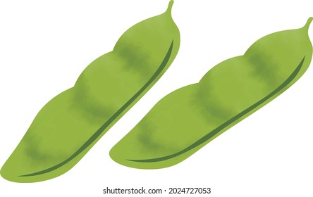 Green soybean on white background.