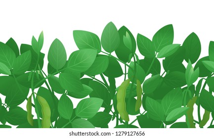 枝豆 栽培 のイラスト素材 画像 ベクター画像 Shutterstock