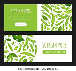 Green Soybean Pod Natural Organic Crop Banner Design Vector Template