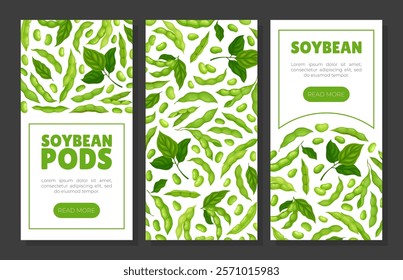 Green Soybean Pod Natural Organic Crop Banner Design Vector Template