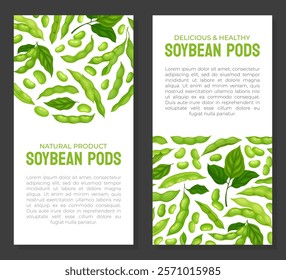 Green Soybean Pod Natural Organic Crop Banner Design Vector Template