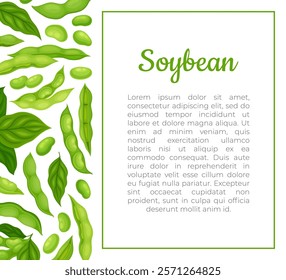 Green Soybean Pod Natural Organic Crop Banner Design Vector Template