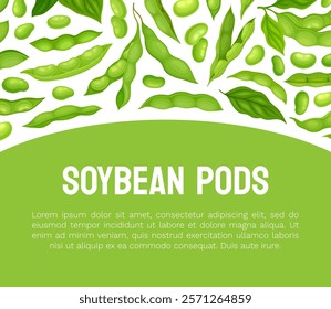 Green Soybean Pod Natural Organic Crop Banner Design Vector Template