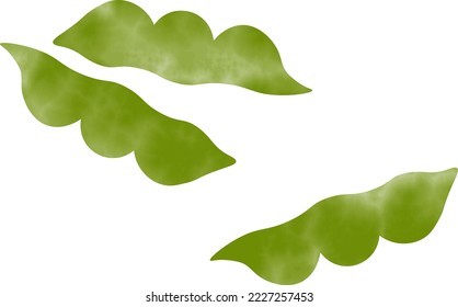 Green soybeans on white background.