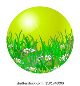 Green sphere with chamomiles in grass. Optical illusion with 3d effect. Bright romantic backgrounds. EPS10