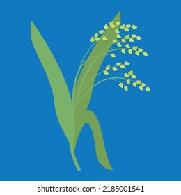 Green spikelet of millet, illustration, vector