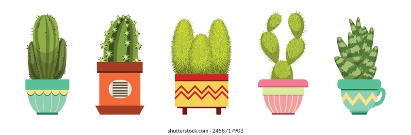 Green Spiky Cactus Plant Growing in Ornamental Ceramic Pot Vector Set