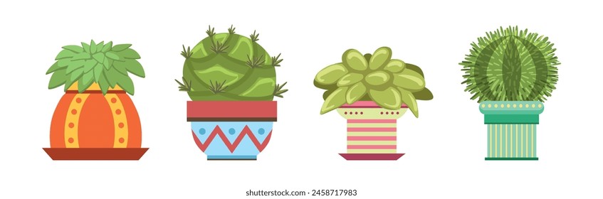 Green Spiky Cactus Plant Growing in Ornamental Ceramic Pot Vector Set