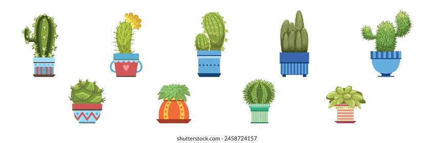 Green Spiky Cactus Plant Growing in Ornamental Ceramic Pot Vector Set