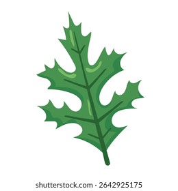 Folha verde de azevinho pontiagudo. Ilustração vetorial
