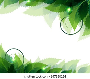 Green spiky leaves with sparks on a white background