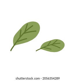 Green spinach leaves. Garden salad leaf. Fresh leafy vegetable in simple doodle style. Vegetarian food plant. Flat vector illustration isolated on white background