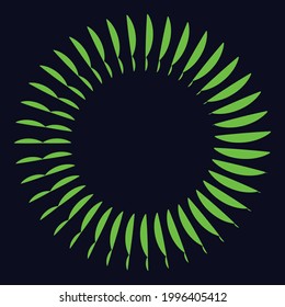 Espiral verde en círculo con diferentes líneas.