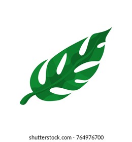 Green split tropical leaf vector Illustration