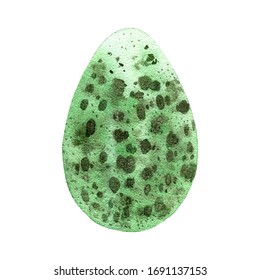Green spotted watercolor egg. Vector