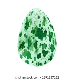 Green spotted watercolor egg. Vector illustration