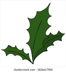 green sprig of holly, vector element in doodle style, symbol of christmas