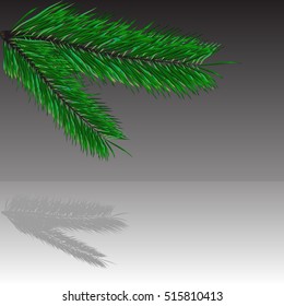Green sprig of pine branch on white with a shadow on a gray background, vector illustration