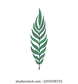 Green sprig of rosemary cartoon style, isolated vector icon. Graphic element for packaging, logo, for rosemary products.