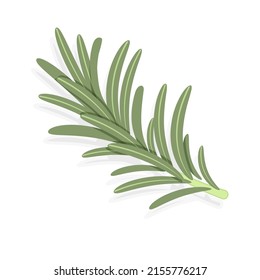 Green sprig of rosemary, flat style medicinal plant fragrant plant for seasoning, vector illustration isolated on white background