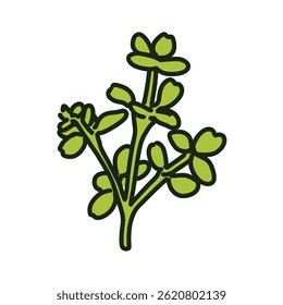 Green sprig sprouts tiny leaves isolated background