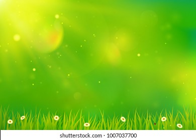 Green spring background. Blurred abstract design with grass, flowers and sunlight. Vector.