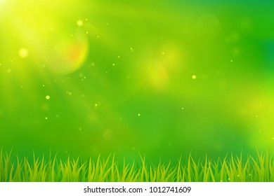 Green spring background. Blurred abstract design with grass and sunlight. Vector.