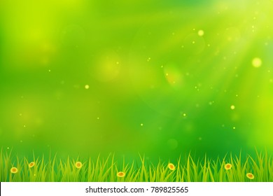 Green spring background. Blurred abstract design with grass, flowers and sunlight. Vector.