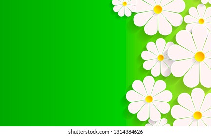 green spring background with daisy flowers