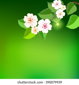 Green spring background with place for text. Tree branch with green leaves and flowers.