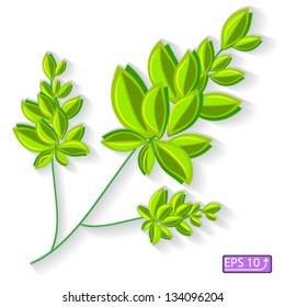 Green spring branch tree, isolated on white background vector