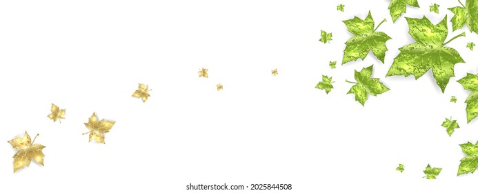 Green spring and Golden autumn leaves border with empty space for banner, poster, placard, sale flyer. Fall maple gold and yellow leaf element on white background. Vector illustration