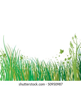 green spring grass