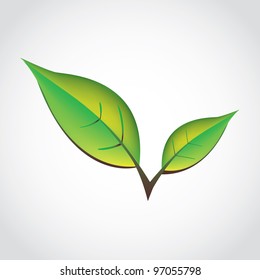 green spring leafs - isolated illustration