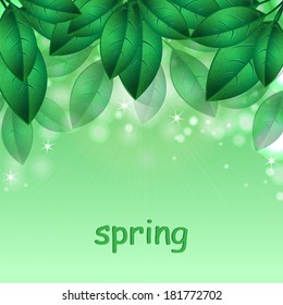 green spring leaves