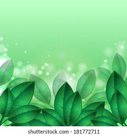 Green spring leaves