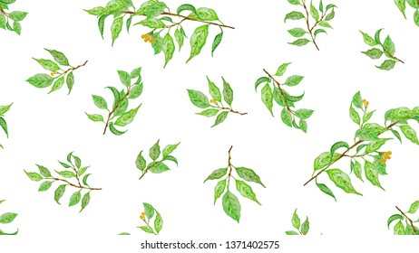Green spring leaves. Botanical background, laurel, ficus, tea. Colorful seamless pattern. Theme design cover, invitation, booklet, printing.