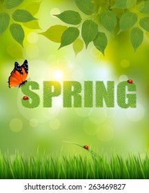 Green Spring letters made of grass on sunny forest background. Vector.