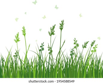 hierba verde de primavera. Plantas de color fresco, hierba de crecimiento estacional, elementos botánicos separados, hierbas. Cascos de césped natural, borde floral. Ilustración vectorial.