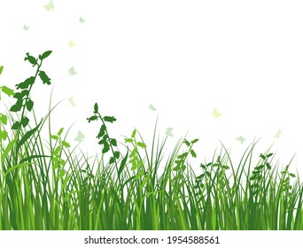 Grünes Frühlingsgras. Frischfarbene Pflanzen, saisonales Gras, getrennte pflanzliche Elemente, Kräuter. Natürliche Rasenstöcke, Blumenrand. Vektorgrafik.