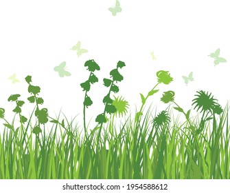 Green spring meadow grass. Fresh color plants, seasonal growth grass, separated botanical elements, herbs. Natural lawn bushes, floral border. Vector Illustration.