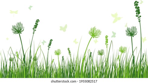 Green spring meadow grass. Fresh color plants, seasonal growth grass, separated botanical elements, herbs. Natural lawn bushes, floral border. Vector Illustration.