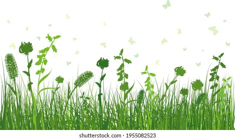 hierba verde de primavera. Plantas de color fresco, hierba de crecimiento estacional, elementos botánicos separados, hierbas. Cascos de césped natural, borde floral. Ilustración vectorial.