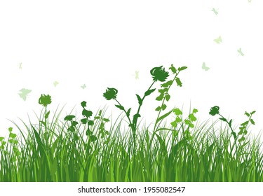 Green spring meadow grass. Fresh color plants, seasonal growth grass, separated botanical elements, herbs. Natural lawn bushes, floral border. Vector Illustration.