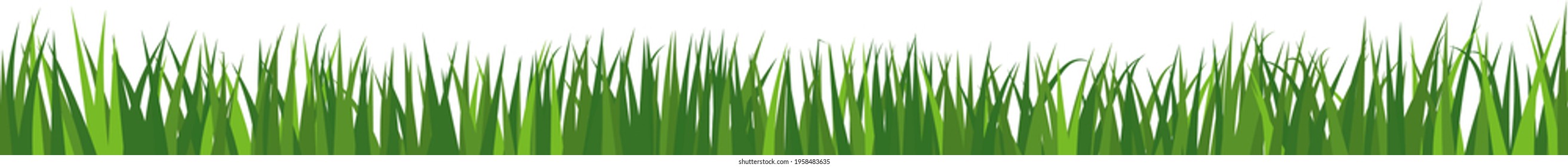 Green spring meadow grass. Fresh color plants, seasonal growth grass, separated botanical elements, herbs. Natural lawn bushes, floral border. Vector Illustration.