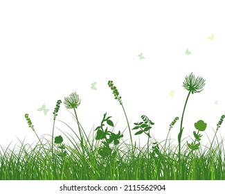 Grünes Frühlingsgras. Frischfarbene Pflanzen, saisonales Gras, getrennte pflanzliche Elemente, Kräuter. Natürliche Rasenstöcke, Blumenrand. Vektorgrafik.