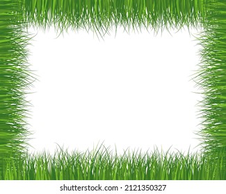 Green spring meadow grass. Fresh color plants, seasonal growth grass, separated botanical elements, herbs. Natural lawn bushes, floral border. Vector Illustration.
