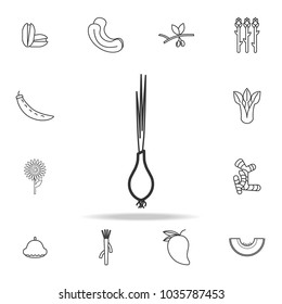 Green spring onion icon. Set of fruits and vegetables icon. Premium quality graphic design. Signs, outline symbols collection, simple thin line icon for websites, web design on white background