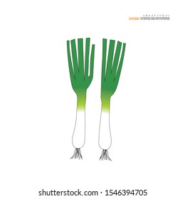 Green spring onion isolated on the white background.vector illustration.