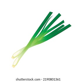 Green spring onion. Vector illustration cartoon vegetable icon isolated on white background.